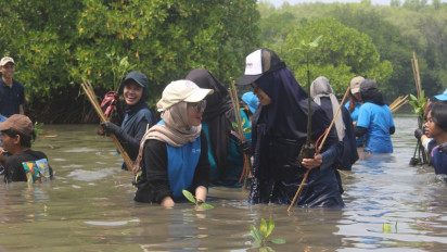Tembus Times Higher Education Impact Rankings, Bukti Komitmen Universitas Pertamina pada Pembangunan Berkelanjutan