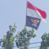 Fenomena Bendera One Piece Bermunculan di Kota Pahlawan, Pemkot Lakukan Penertiban