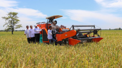 BPS: Sektor Pertanian Jadi Tulang Punggung Ekonomi Nasional, Tumbuh Signifikan pada Triwulan II 2025
