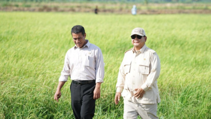 Mentan: Harga Beras Turun di 13 Provinsi Sinyal Stabilitas Pangan