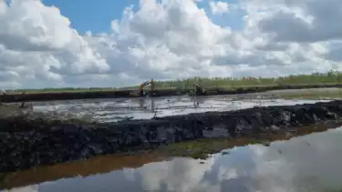 Pelaksanaan program cetak sawah.