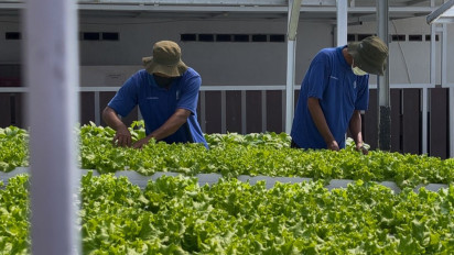 Ketahanan Pangan Dibalik Jeruji Besi, Napi Kembangkan Hidroponik Hingga Pasok UMKM Indramayu