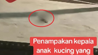 Viral Puluhan Potongan Kepala Kucing dalam Karung Ditemukan di Pasar Sepanjang Sidoarjo, Begini Temuan Polisi di Lapangan...