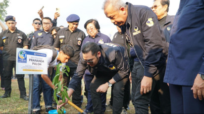 Jelang Rakernas, Partai NasDem Gencarkan Gerakan Menanam Pohon