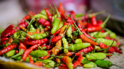 Bapanas: Harga Cabai Rawit Rp41.587/kg, Bawang merah Rp44.815/kg