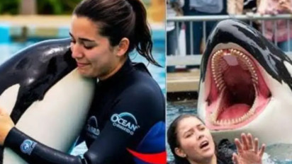 Detik-Detik Jessica Redcliffe Diterkam Paus Orca Ternyata Hoax, Begini Cara Membedakan Video AI dan Asli