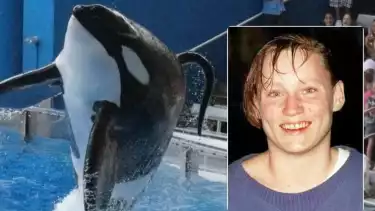 Kematian Keltie Bryne akibat paus orca