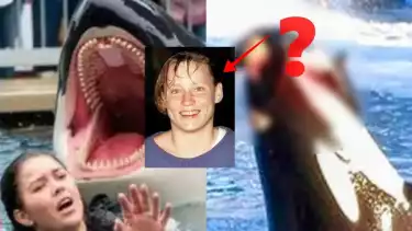 Bukan Hoaks, Kejadian Seperti Jessica Radcliffe Pernah Terjadi di Dunia Nyata, Sebelum Meninggal Tubuhnya di...