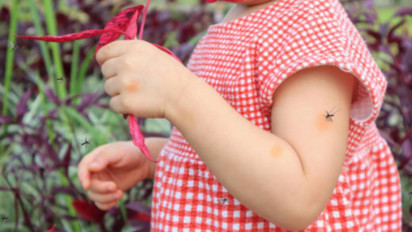 Waspada DBD! 7 Fakta Penting Peran Perempuan Lindungi Keluarga dari Dengue di Indonesia