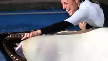 Dawn Brancheau, pelatih paus orca yang tewas