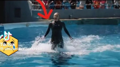 Terungkap Dua Sosok di Balik Pelatih Orca Jessica Radcliffe yang Viral Dimakan Paus, Kali Ini Bukan Hoaks, Tapi Ternyata...