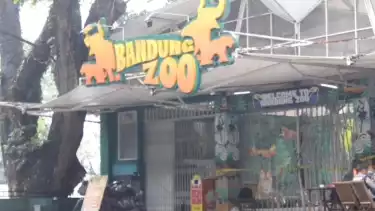 Ilustrasi Kebun Binatang Bandung (Bandung Zoo)