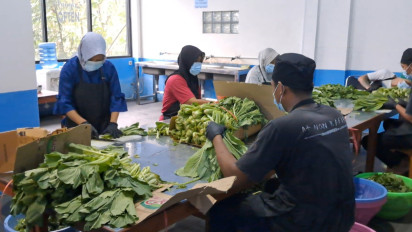 Sejumlah SPPG Disebut Terafiliasi Politik, Ombudsman: Berisiko Timbulkan Konflik Kepentingan