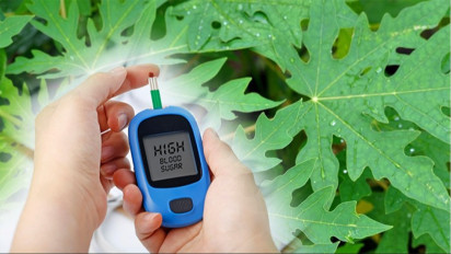 Benarkah Daun Pepaya Ampuh Turunkan Gula Darah Bagi Penderita Diabetes? Ini Kata Dokter