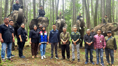 Pertamina Patra Niaga Dukung Konservasi Gajah Sumatera di Hari Gajah Sedunia 2025