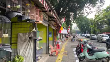 Cuma Satu Harapan Pedagang Pasar Hewan Barito: Temui Kami, Pak Gubernur