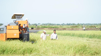 Tertinggi di Kabinet Merah Putih, 84,9 Persen Masyarakat Puas Kinerja Mentan Amran