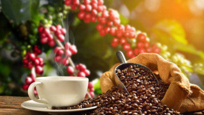 Desa Medanglayang: Surga Kopi, Alam, dan Budaya, Desa Kecil Penghasil Kopi Dunia yang Siap Jadi Destinasi Wisata Hits