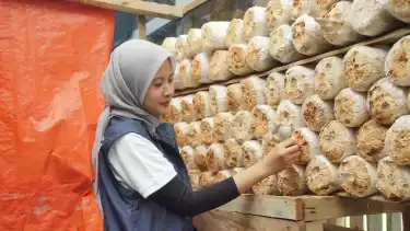 Tahukah Kamu Desa Medanglayang Surga Kecil Penghasil Kopi Arabika kelas Dunia yang Siap Jadi Destinasi Wisata Alam dan Budaya