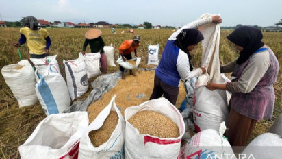 80 Tahun RI: Nasib Petani Penggarap dan Upaya Mengais Bulir yang Tercecer