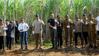 Panen Raya Tebu di Sumba Timur, AHY: Program Transmigrasi Tak Hanya Ciptakan Permukiman Baru