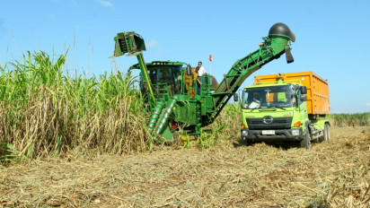 Berita Foto: Panen Raya Tebu di Sumba Timur wujud Ketahanan Pangan