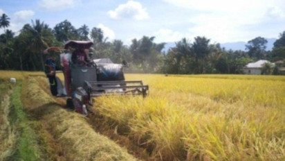 Pengamat Sebut Sektor Pertanian Kabupaten Klungkung Bali Berpotensi Besar Dikembangkan Jadi Daya Tarik Wisata