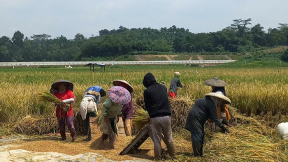 Kawal Stabilitas Harga Beras, PP KAMMI Desak Pemerintah Berantas Mafia Beras hingga Tuntas