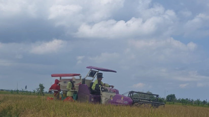 Alsintan Modern Permudah Petani Sumedang, Panen Padi Lebih Cepat dan Efisien