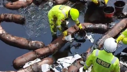 Kebocoran Pipa Minyak Cemari 30 Hektar Sawah, DPRD dan Pospera Luwu Timur Desak PT Vale Tanggung Jawab