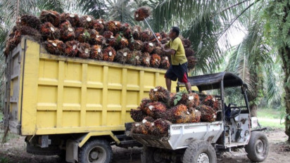 Indonesia Menang Sengketa Perdagangan Biodiesel Lawan Uni Eropa di WTO