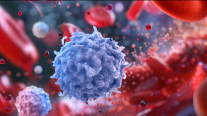 Bahaya Leukemia Anak: Ancaman dan Harapan, Bocah 3 Tahun dari Purwakarta Butuh Bantuan untuk Transplantasi Sumsum Tulang