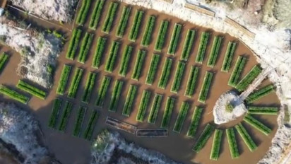 Perkuat Ketahanan Energi hingga Ketahanan Pangan, Pertamina Kembangkan 110 Inovasi lewat Program PFmuda