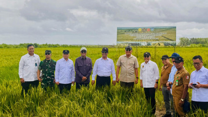 Wanam Sebagai Proyek Strategis Nasional (PSN) untuk Pusat Cadangan Pangan Nasional