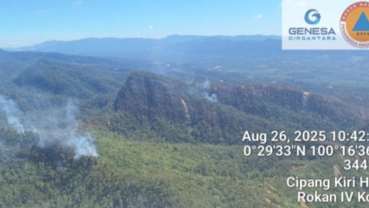 BPBD Riau Kerahkan Dua Helikopter Padamkan Karhutla di Perbukitan