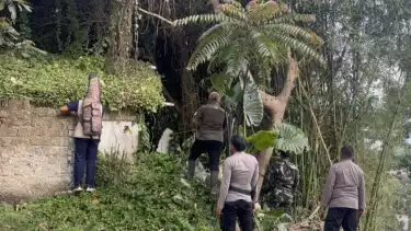 Ilustrasi macan tutul