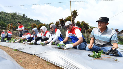 Resmikan Desa Energi Berdikari di Sumatera Selatan, Ini Program yang Diwujudkan Pertamina