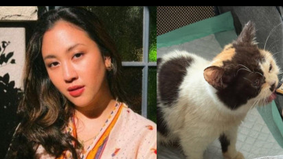 Sherina Munaf Batal Klarifikasi Soal Kucing Uya Kuya, Polisi Jadwalkan Ulang Jumat ini