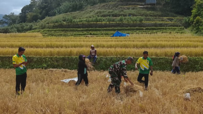 BPS: Produksi Beras hingga Oktober 2025 Surplus 3,7 Juta Ton