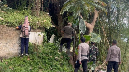Akhirnya Ada Petunjuk, Macan Tutul yang Lepas dari Lembang Park and Zoo Diduga Mengarah ke Hutan Gunung Tangkuban Parahu