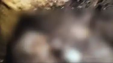 Penemuan jasad keluarga Haji Sahroni Indramayu di satu lubang yang sama.