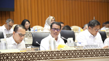 Mentan Amran Dipuji DPR, Surplus 3,7 Juta Ton Beras Digadang Bikin Stok Pangan Aman