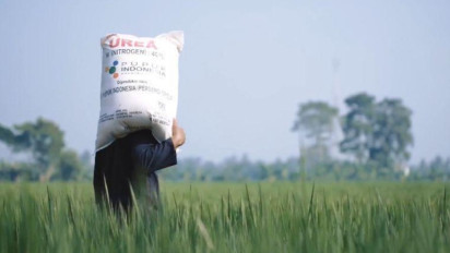 Kementan Perkuat Izin Pengeluaran dan Pemasukan Benih Tanaman