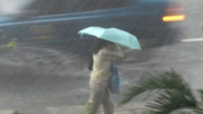 Cegah Pohon Tumbang Jelang Musim Hujan, Distamhut DKI Pangkas 55 Ribu Pohon di Jakarta