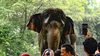 Libur Natal–Tahun Baru 2025/2026, Ragunan Buka Lebih Pagi dan Siapkan Atraksi Khusus Satwa