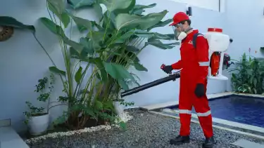 Ilustrasi Cara Efektif Menangani Serangan Hama, Rayap, Nyamuk, Tikus Hilang, Solusi Ramah Lingkungan dan Bersertifikat