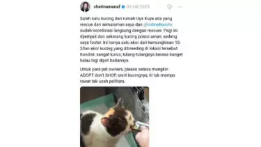 Artis Sherina Munaf akan diminta klarifikasi terkait penyelamatan kucing Uya Kuya yang dijarah