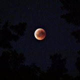 7–8 September Terjadi Fenomena Gerhana Bulan Total  Blood Moon , Ini 3 Zodiak Paling Hoki! Sagitarius Siap-Siap...