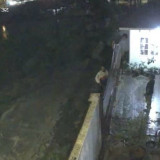 Kerap Bising dan Teror Rumah Warga, Wali Kota Medan Segera Tindak Lanjuti Keberadaan Kafe Tuak di Medan Selayang