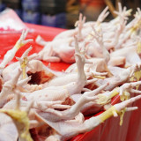 Harga Ayam di Pasar Kebayoran Lama Naik, Omzet Pedagang Turun Hingga 50 Persen